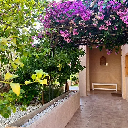Hills - Playa Y Jardín Altea